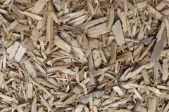 biomass boilers Tunstead